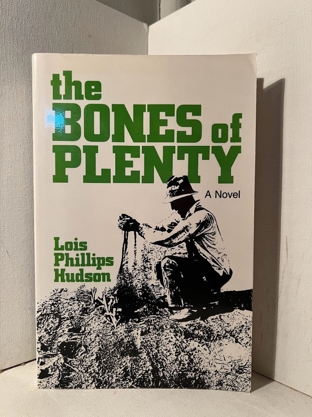 The Bones of Plenty by Lois Phillips Hudson