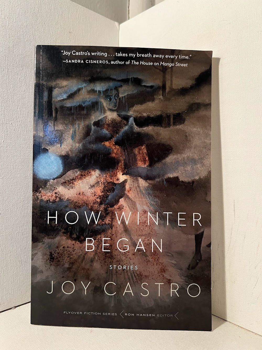 How Winter Began by Joy Castro