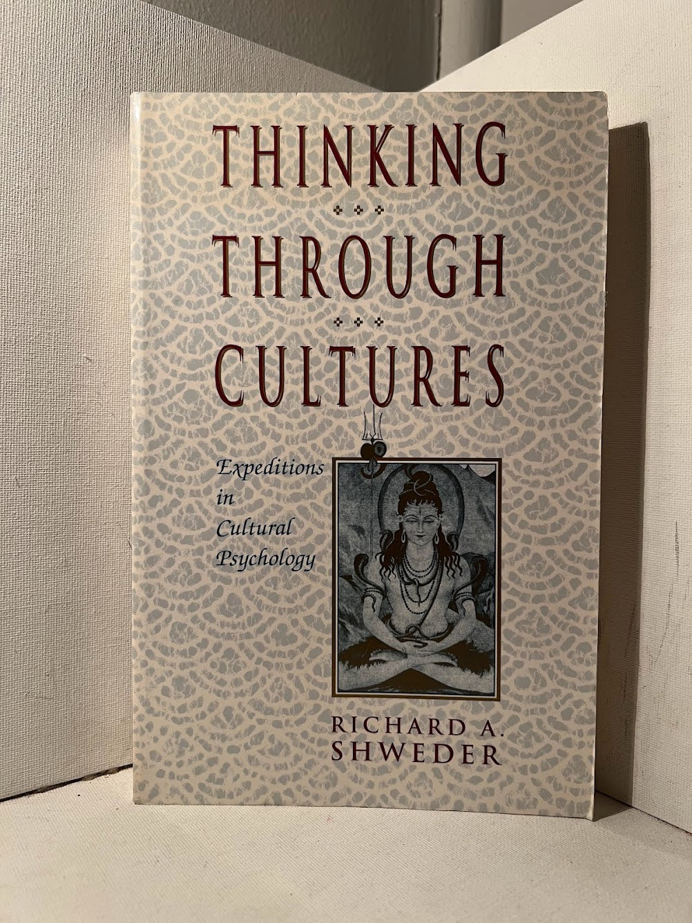 Thinking Through Cultures by Richard A. Shweder