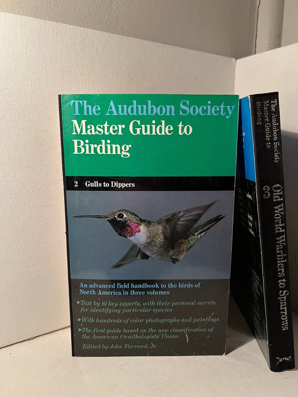 The Audubon Society Master Guide to Birding