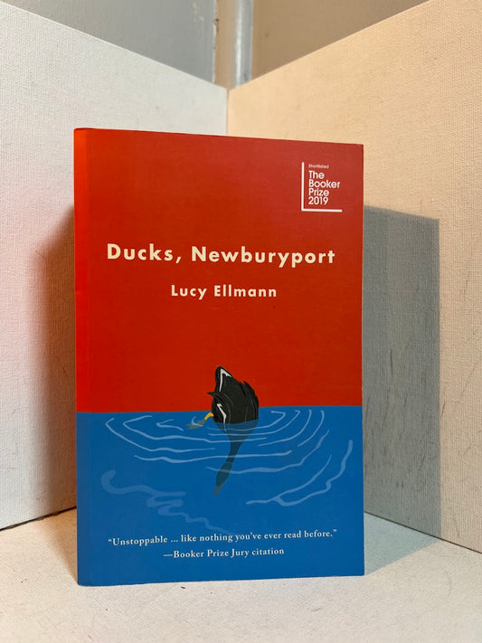 Ducks, Newburyport by Lucy Ellmann