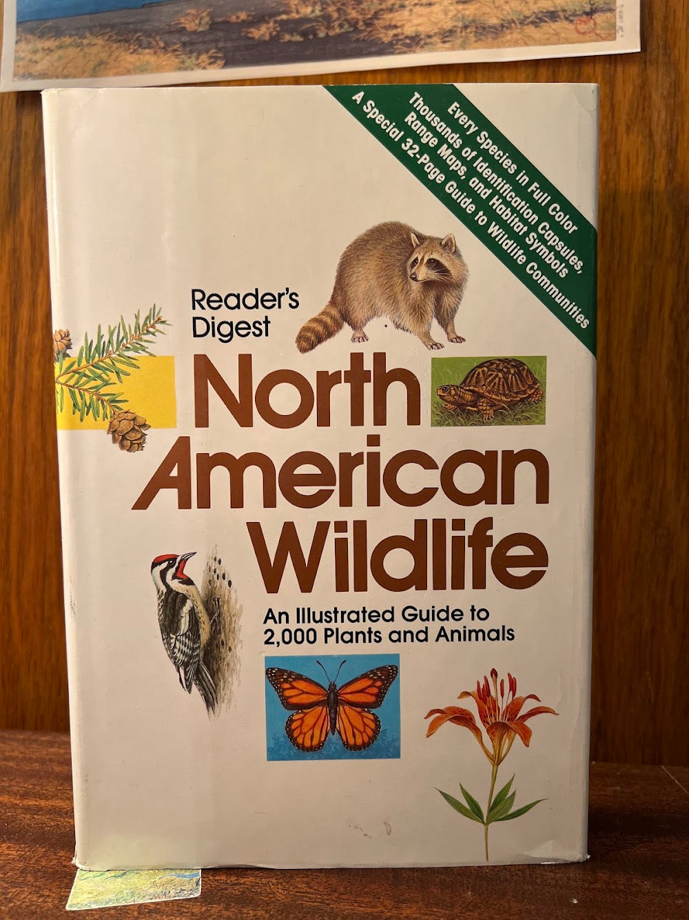 Reader's Digest North American Wildlife