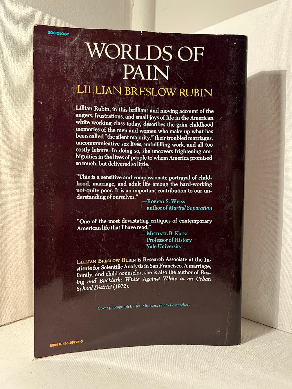 Worlds of Pain: Life in the Working Class Family by Lillian Breslow Rubin
