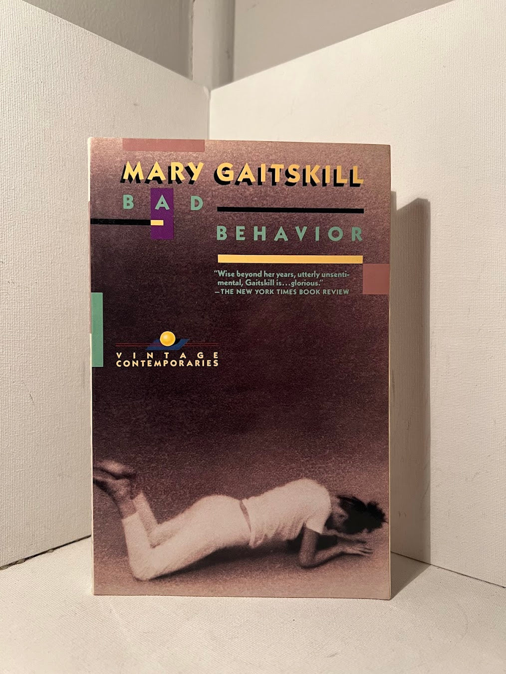 Bad Behavior by Mary Gaitskill