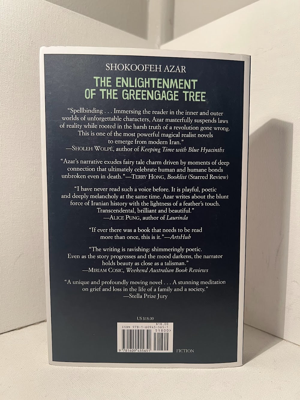 The Enlightenment of the Greengage Tree by Shokoofeh Azar