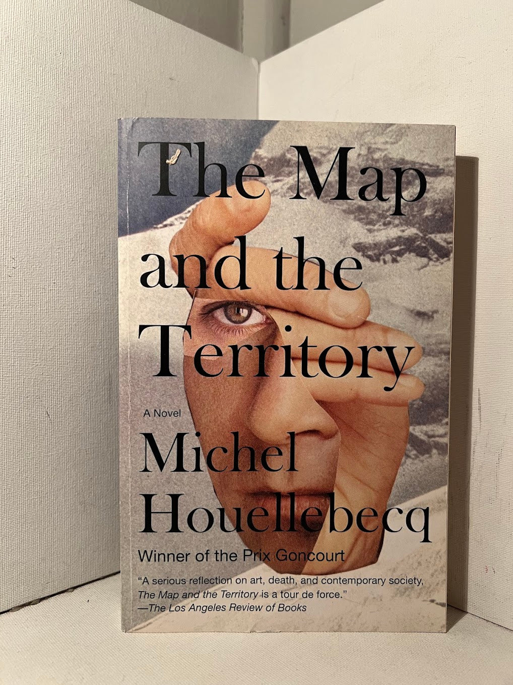 The Map and the Territory by Michel Houellebecq