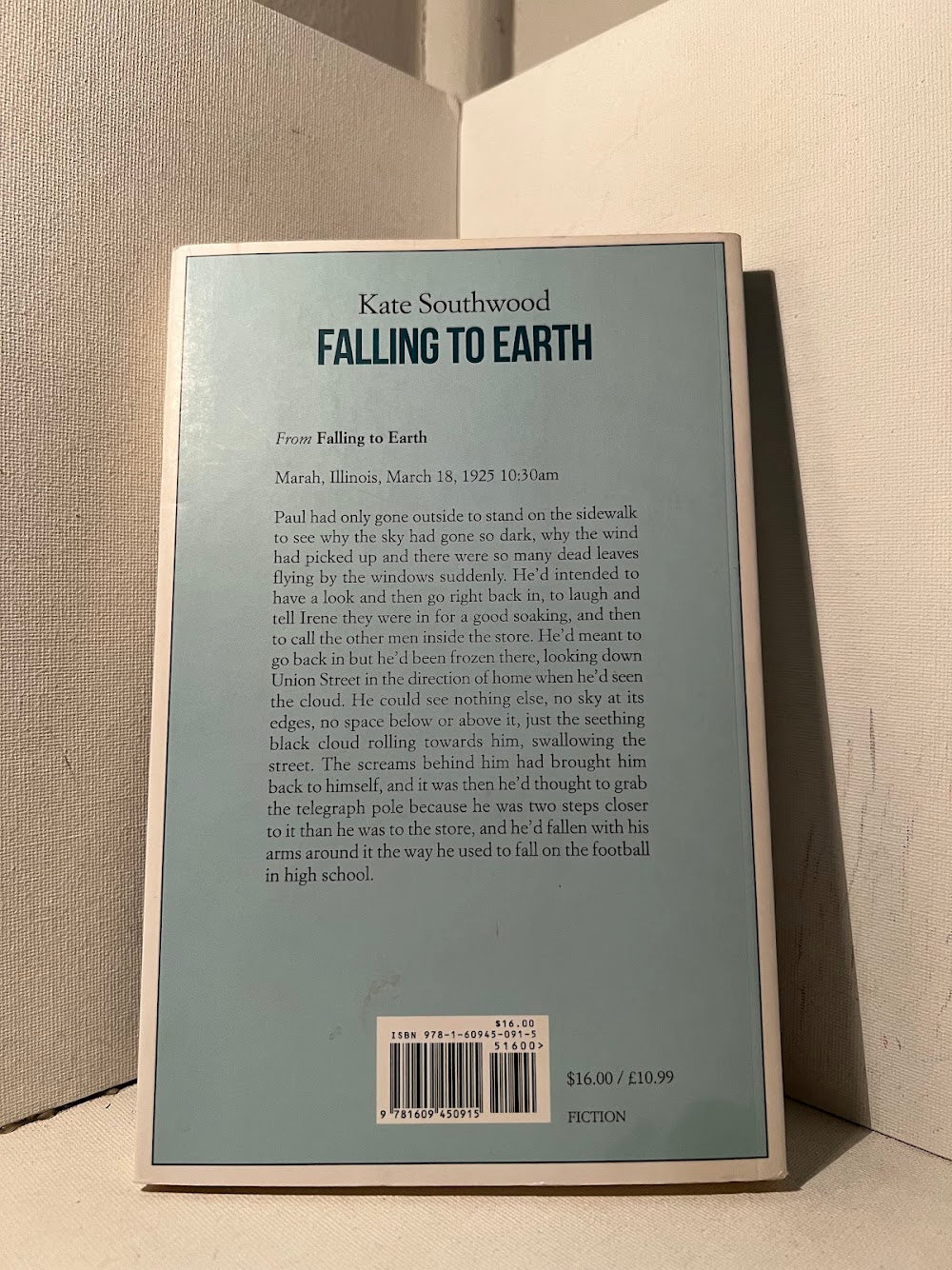 Falling to Earth by Kate Southwood