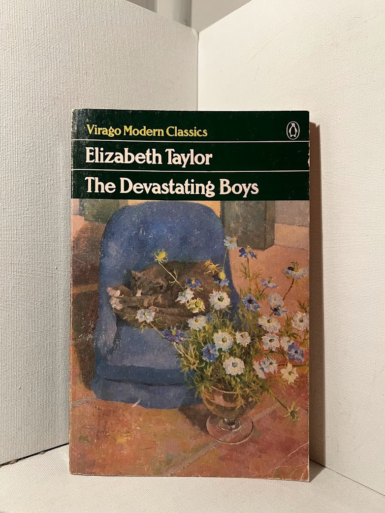 The Devastating Boys by Elizabeth Taylor