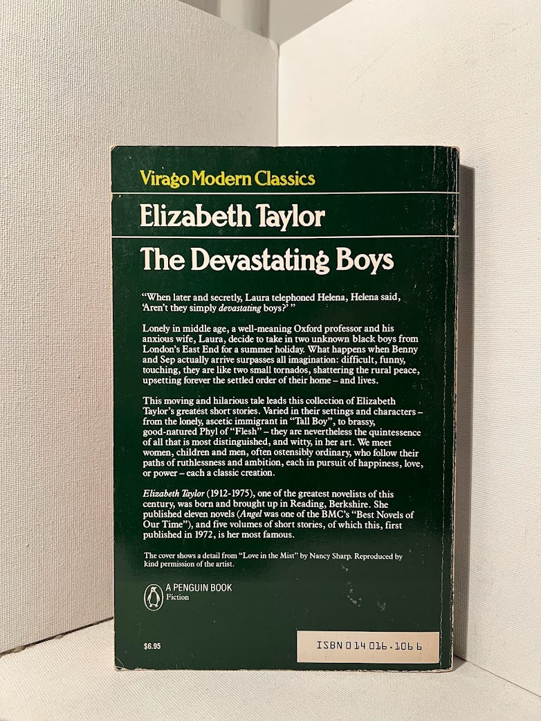 The Devastating Boys by Elizabeth Taylor