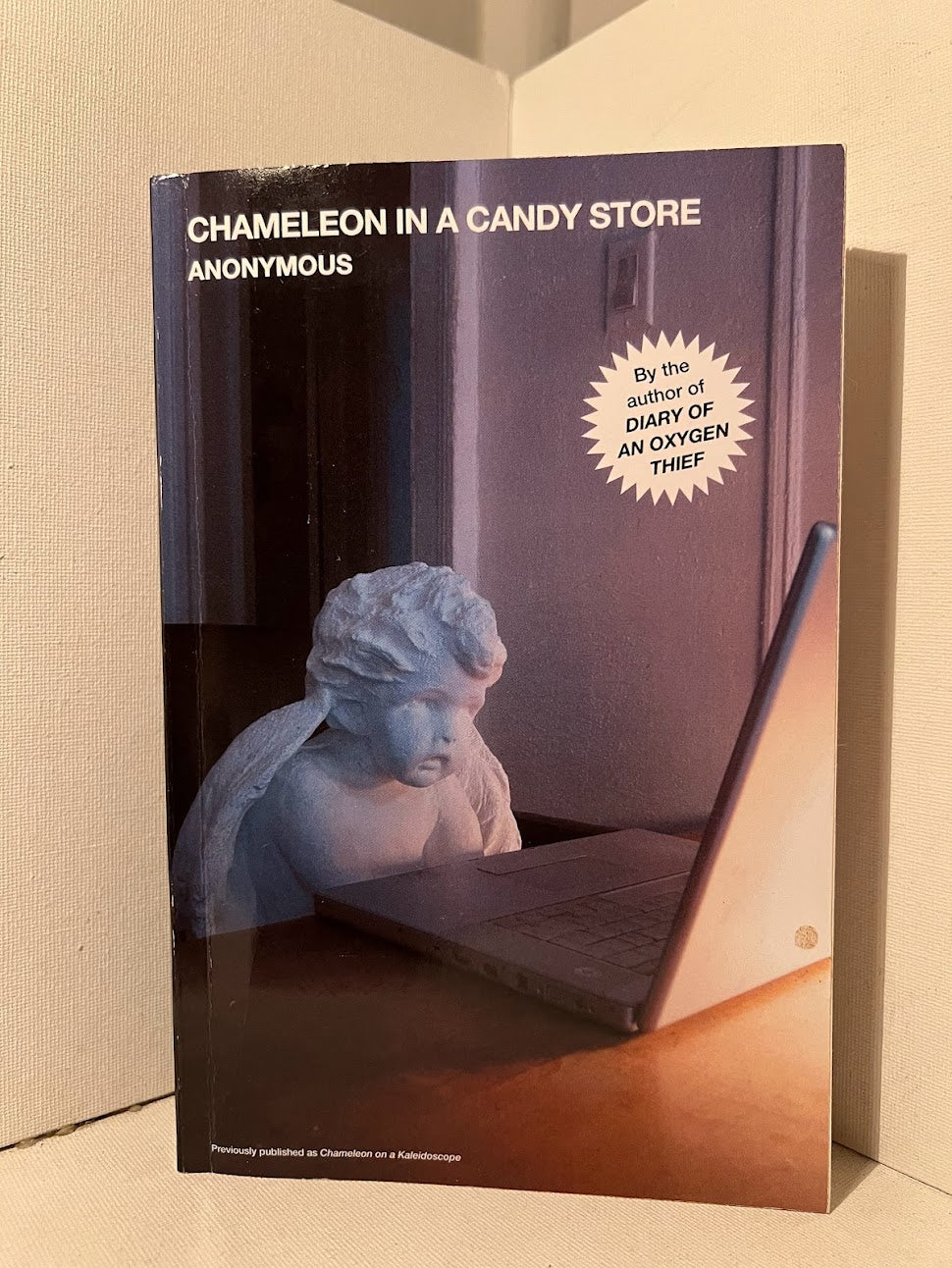 Chameleon in a Candy Store by Anonymous