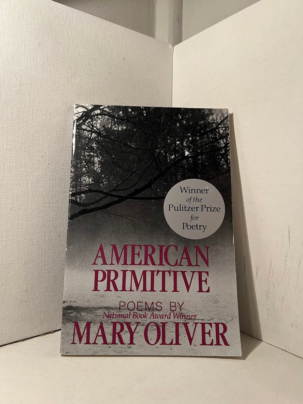 American Primitive by Mary Oliver