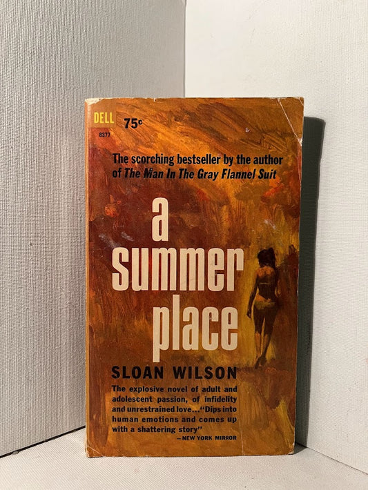 A Summer Place by Sloan Wilson