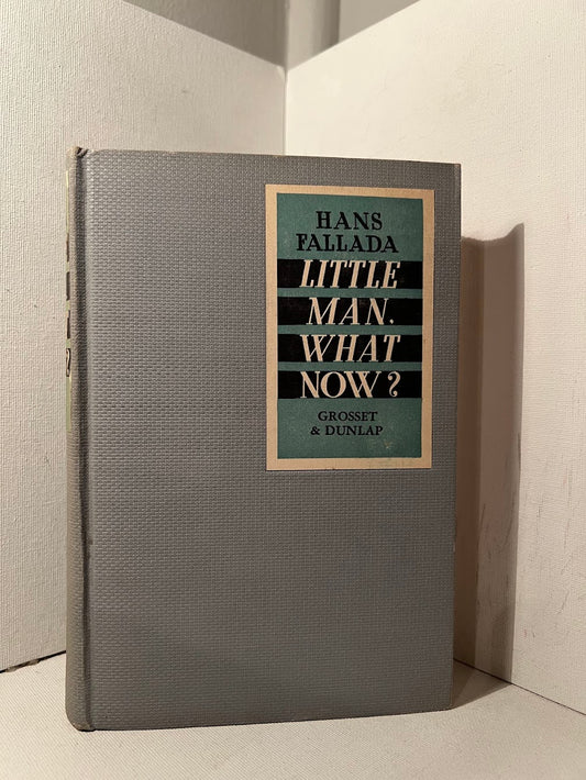 Little Man, What Now? by Hans Fallada