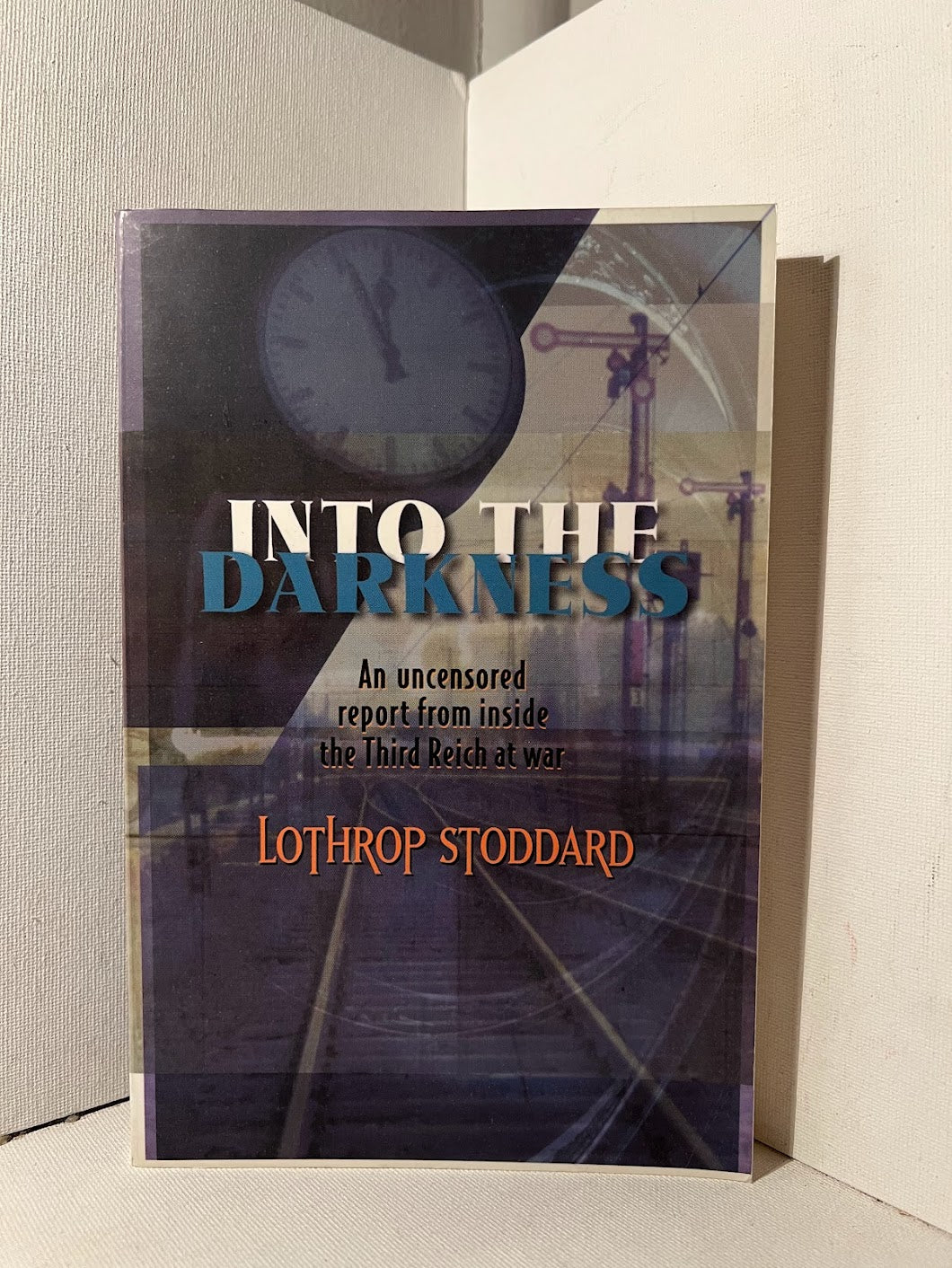 Into the Darkness by Lothrop Stoddard