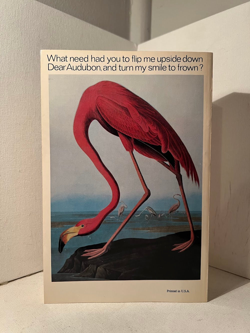 The Flamingo's Smile by Stephen Jay Gould
