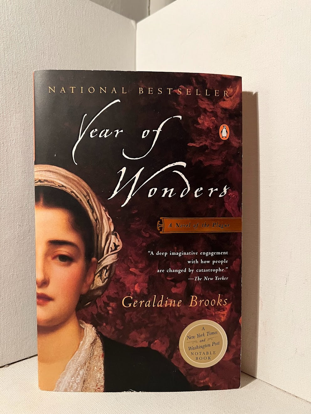 Year of Wonders by Geraldine Brooks