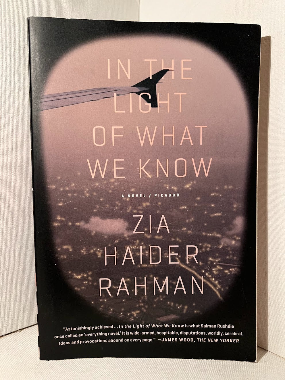 In the Light of What We Know by Zia Haider Rahman