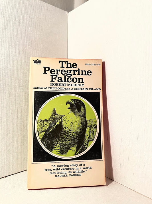 The Peregrine Falcon by Robert Murphy