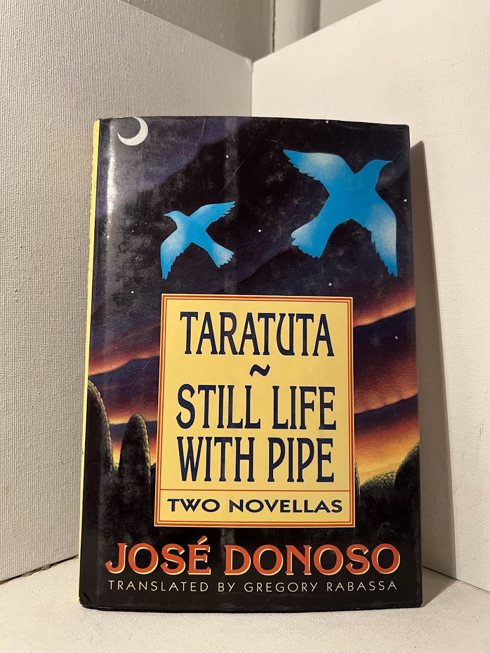 Taratuta - Still Life with Pipe by Jose Donoso