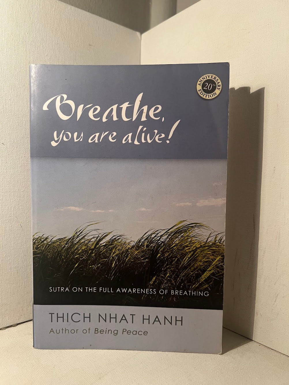 Breathe, You Are Alive! by Thich Nhat Hahn