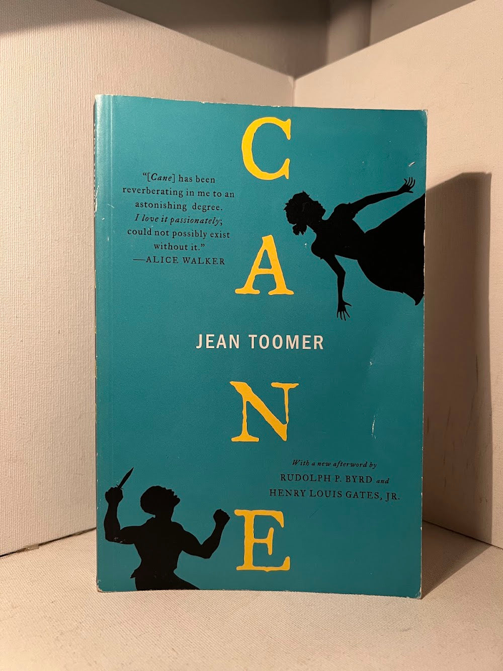 Cane by Jean Toomer