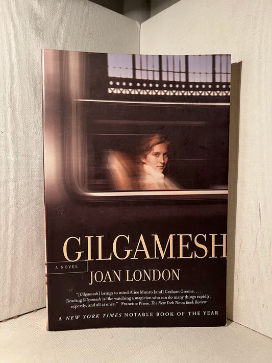 Gilgamesh by Joan London