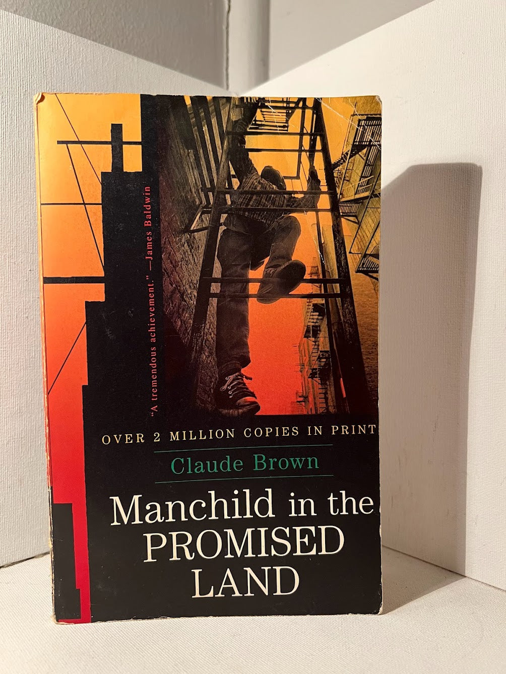 Manchild in the Promised Land by Claude Brown