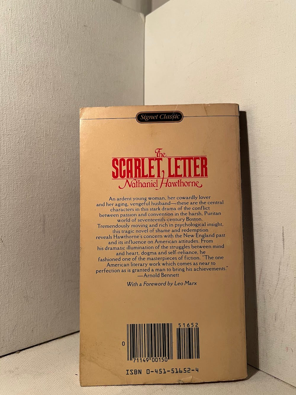 The Scarlet Letter by Nathaniel Hawthorne