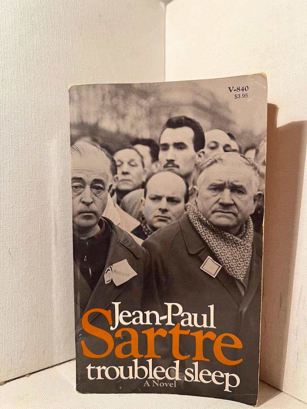 Troubled Sleep by Jean Paul Sartre