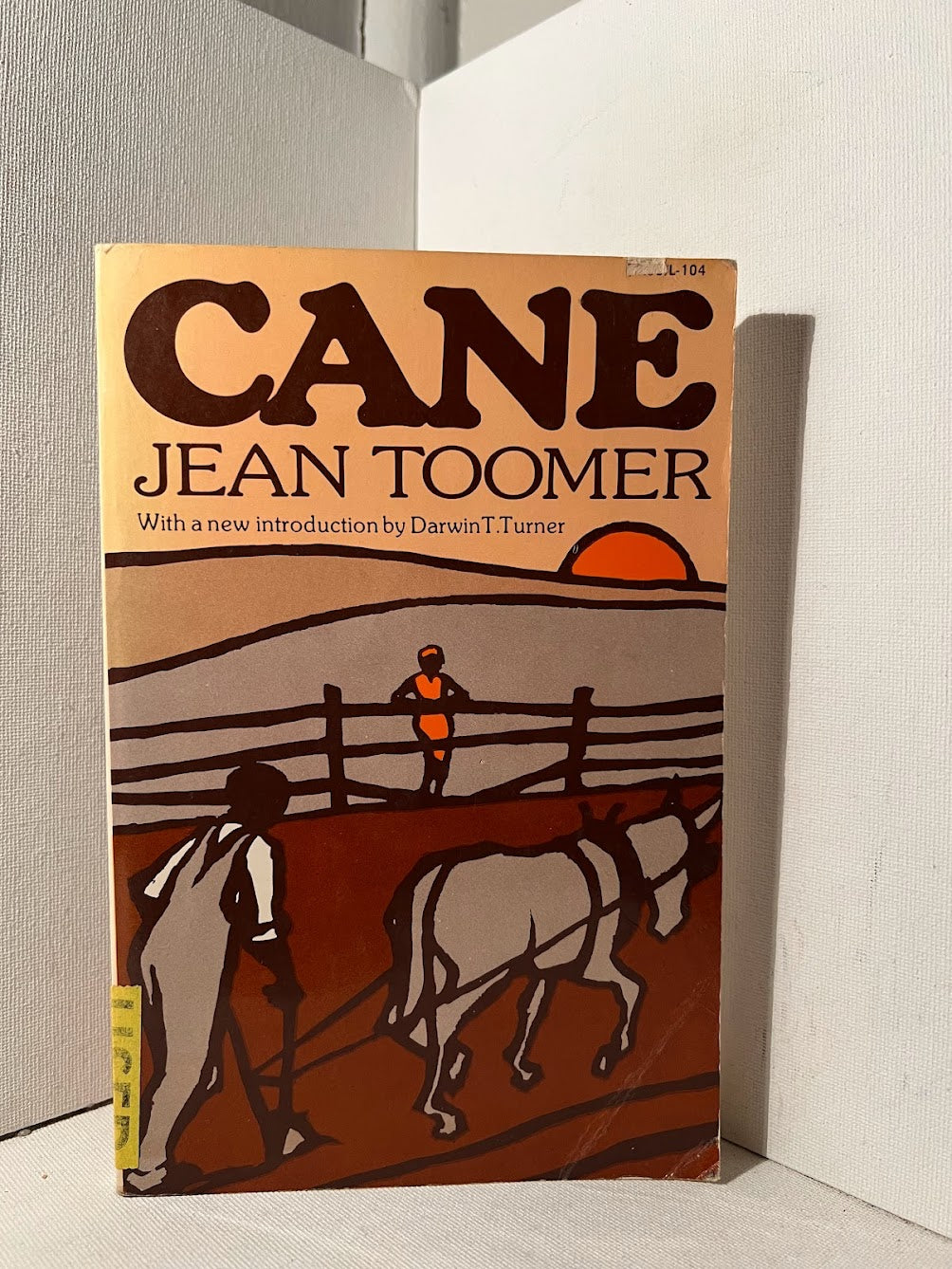 Cane by Jean Toomer