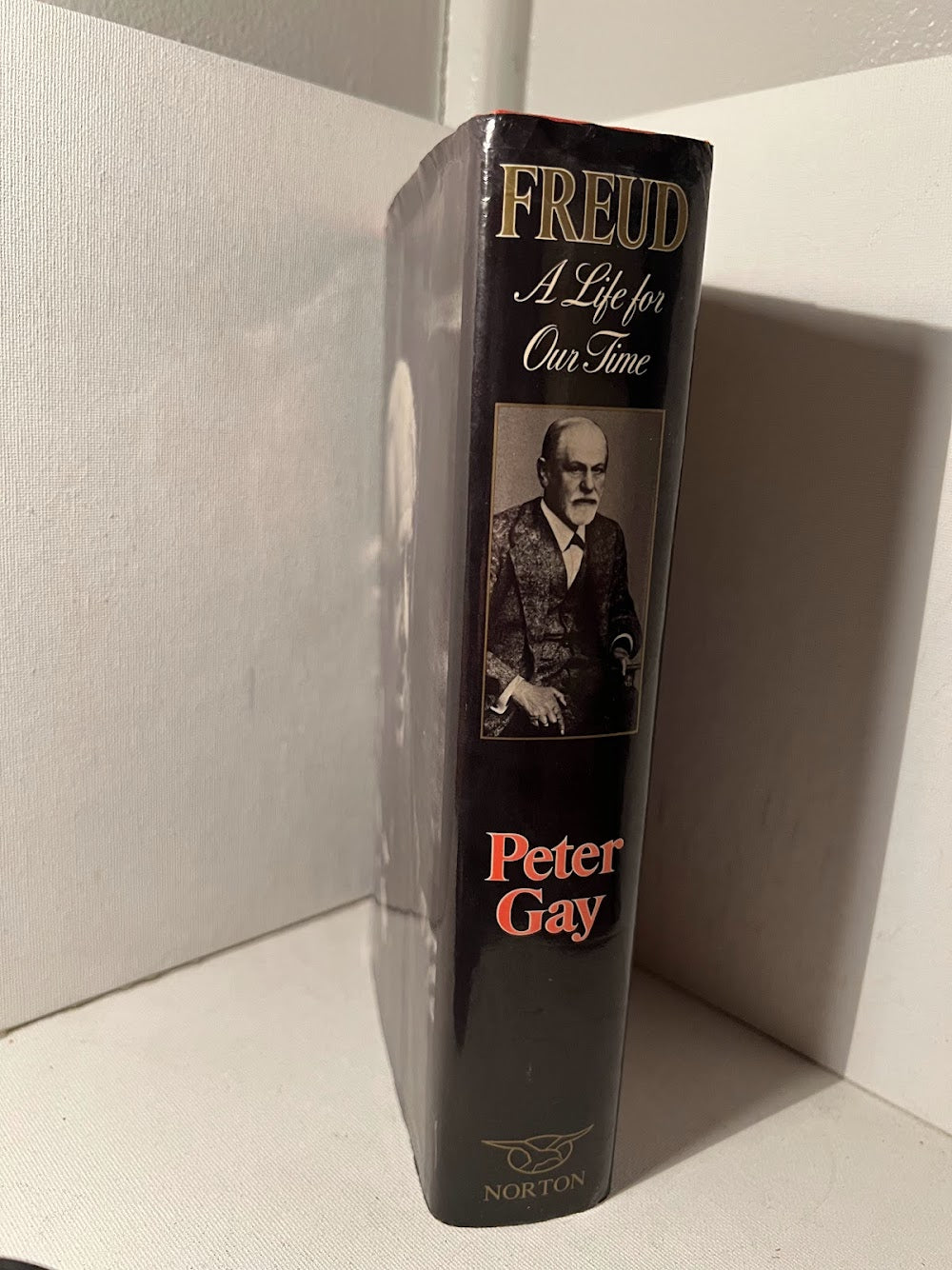 Freud: A Life For Our Time by Peter Gay