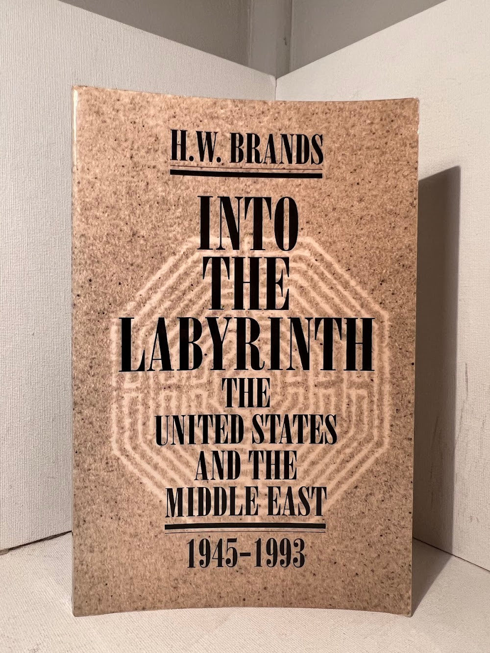 Into the Labyrinth by H.W. Brands