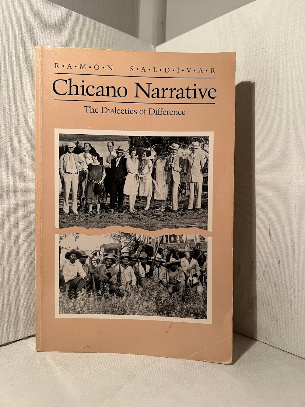 Chicano Narrative - The Dialectics of Difference by Ramon Saldivar