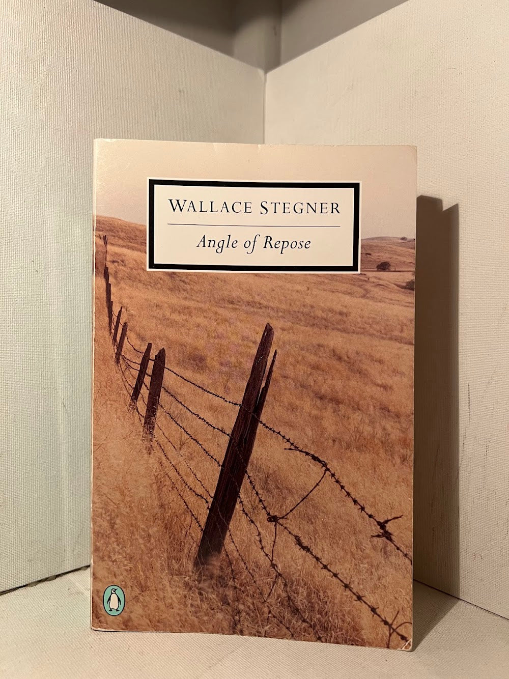 Angle of Repose by Wallace Stegner