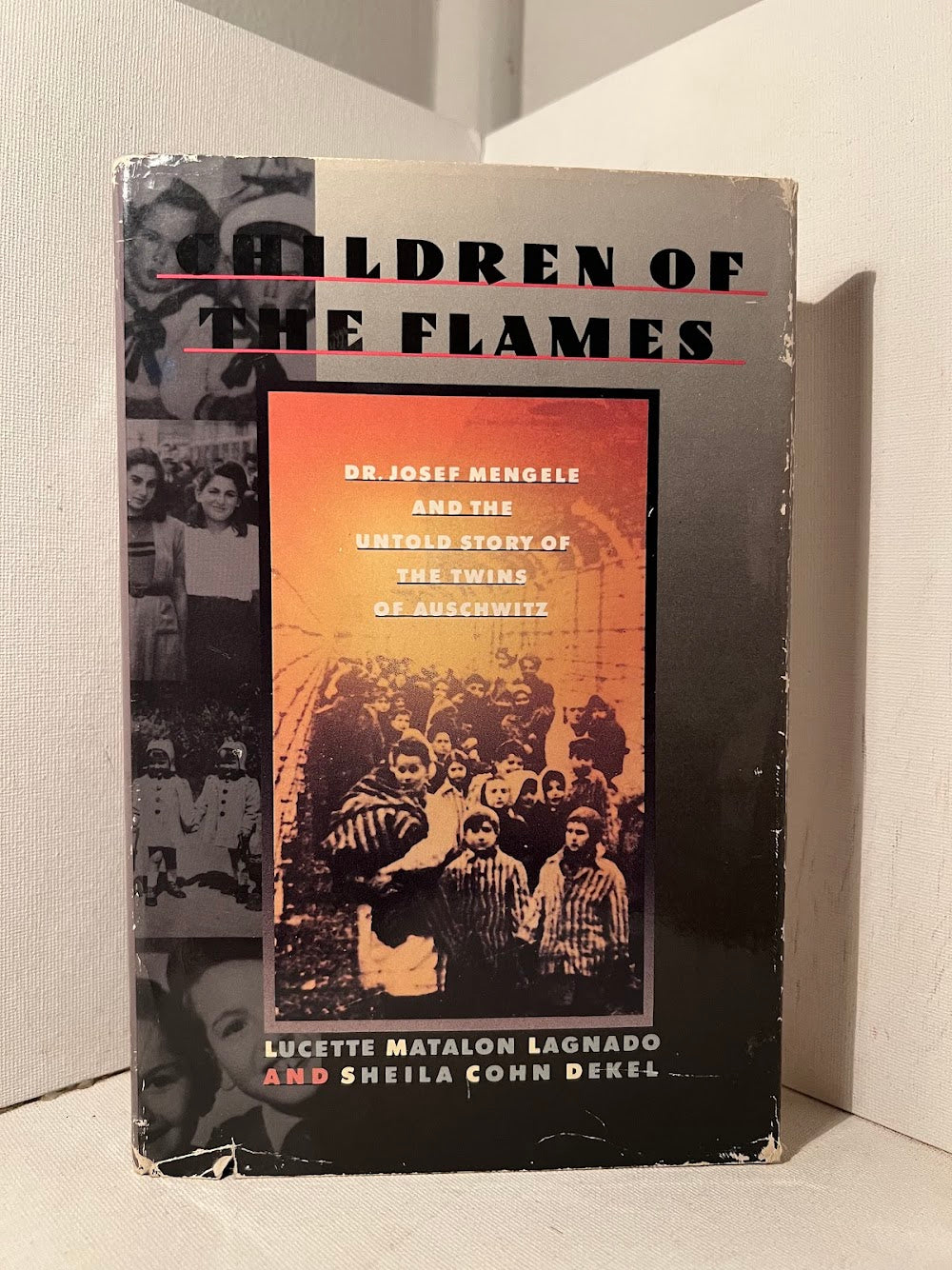 Children of the Flames - Dr. Josef Mengele and the Untold Story of the Twins of Auschwitz by Lucette Matalon Lagnado and Sheila Conn Dekel