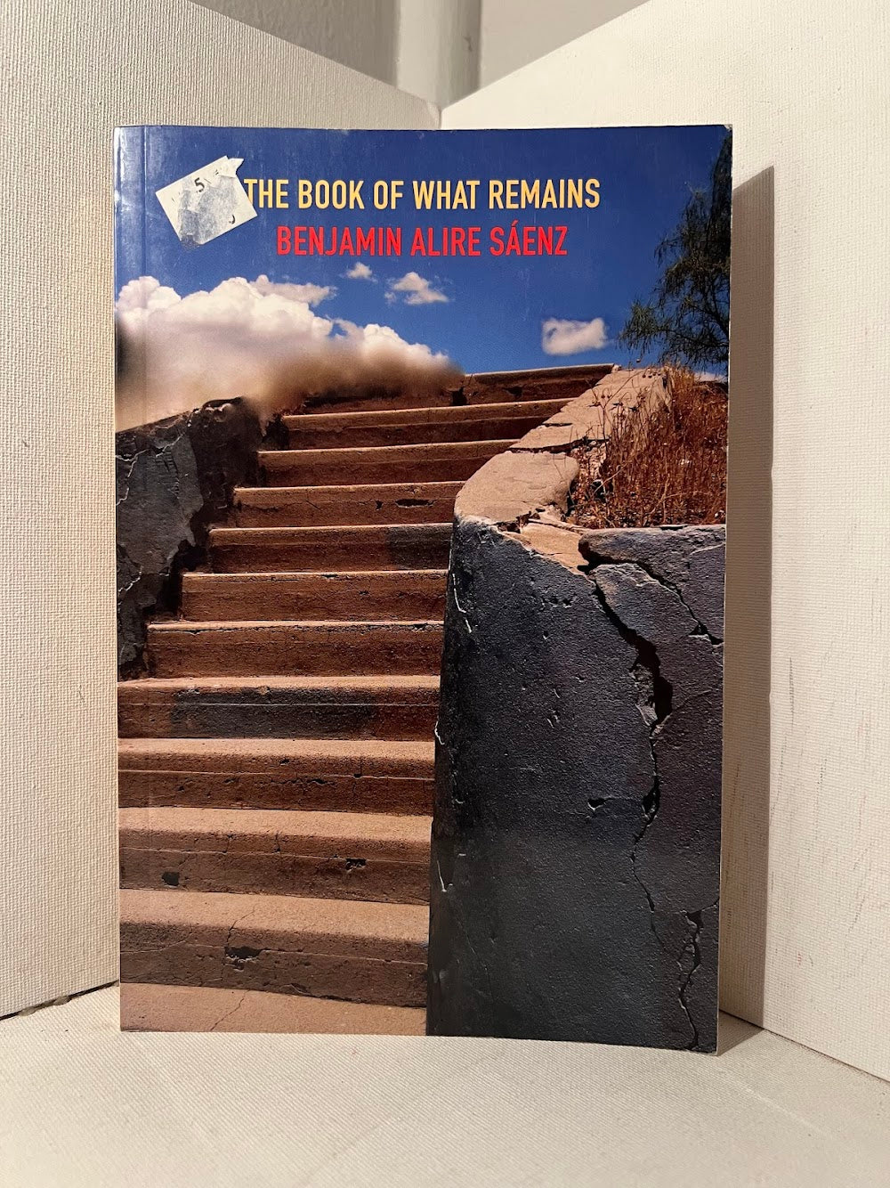 The Book of What Remains by Benjamin Alire Saenz