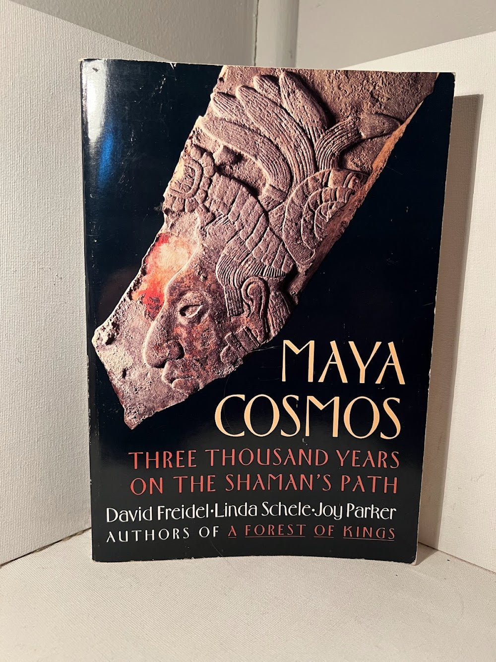 Maya Cosmos: Three Thousand Years on the Shaman's Path