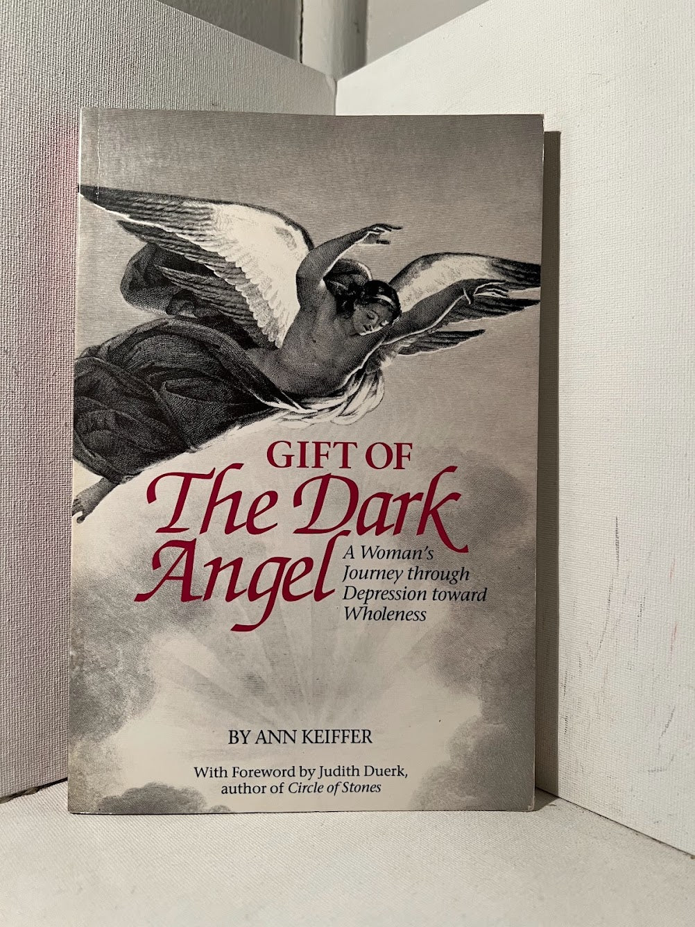 Gift of the Dark Angel by Ann Keiffer