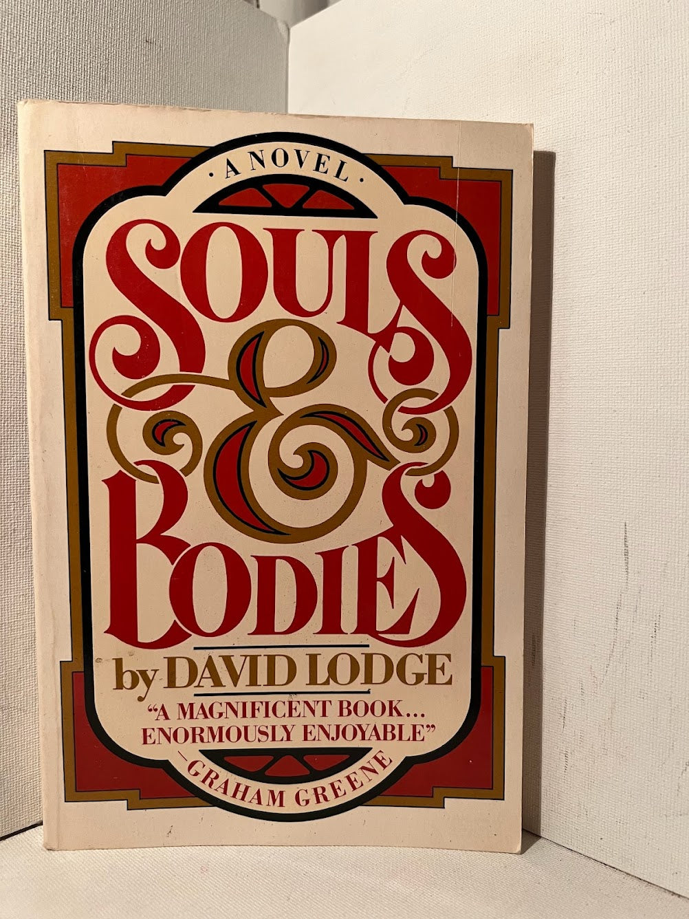 Souls & Bodies by David Lodge