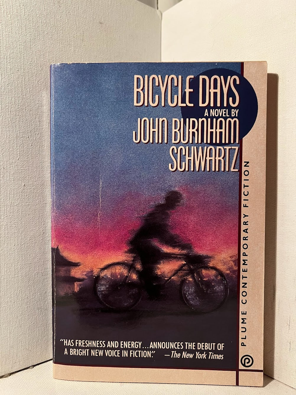 Bicycle Days by John Burnham Schwartz