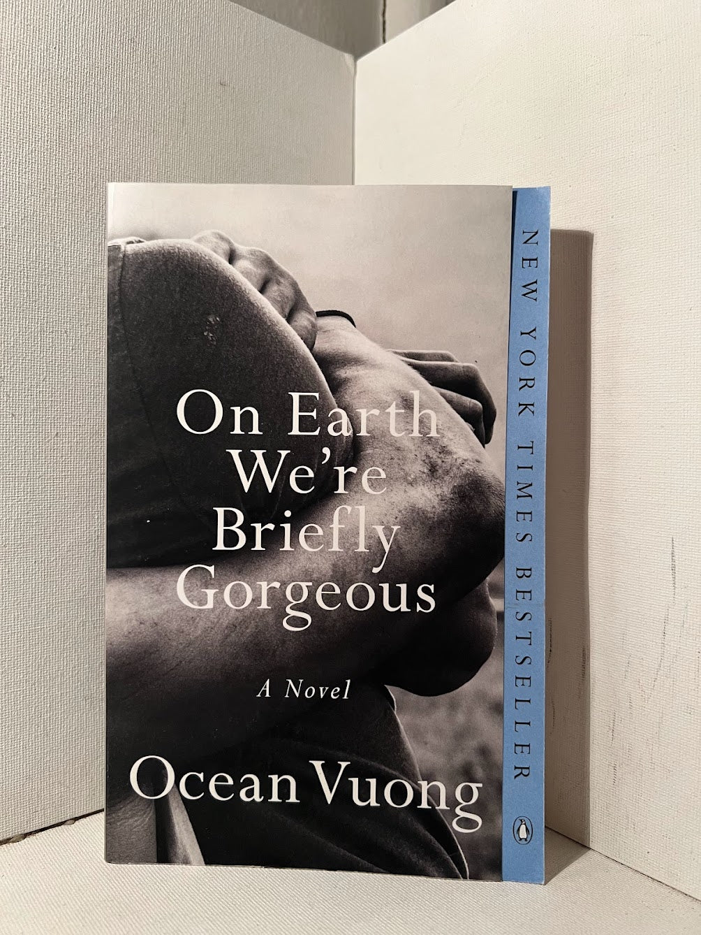 On Earth We're Briefly Gorgeous by Ocean Vuong