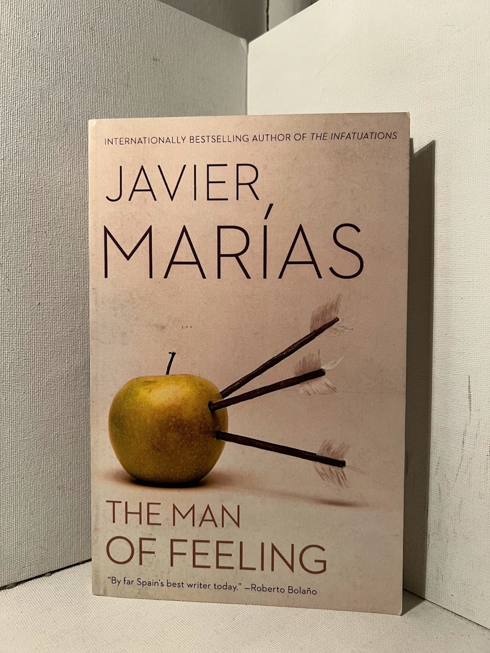 The Man of Feeling by Javier Marias