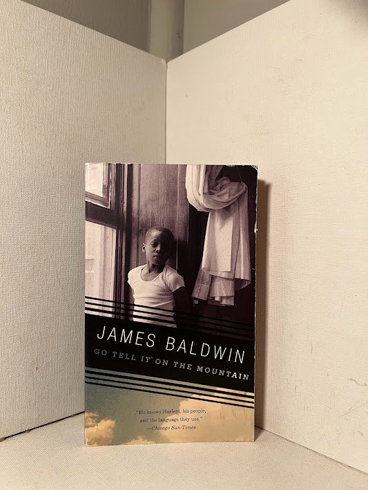 Go Tell It On The Mountain by James Baldwin