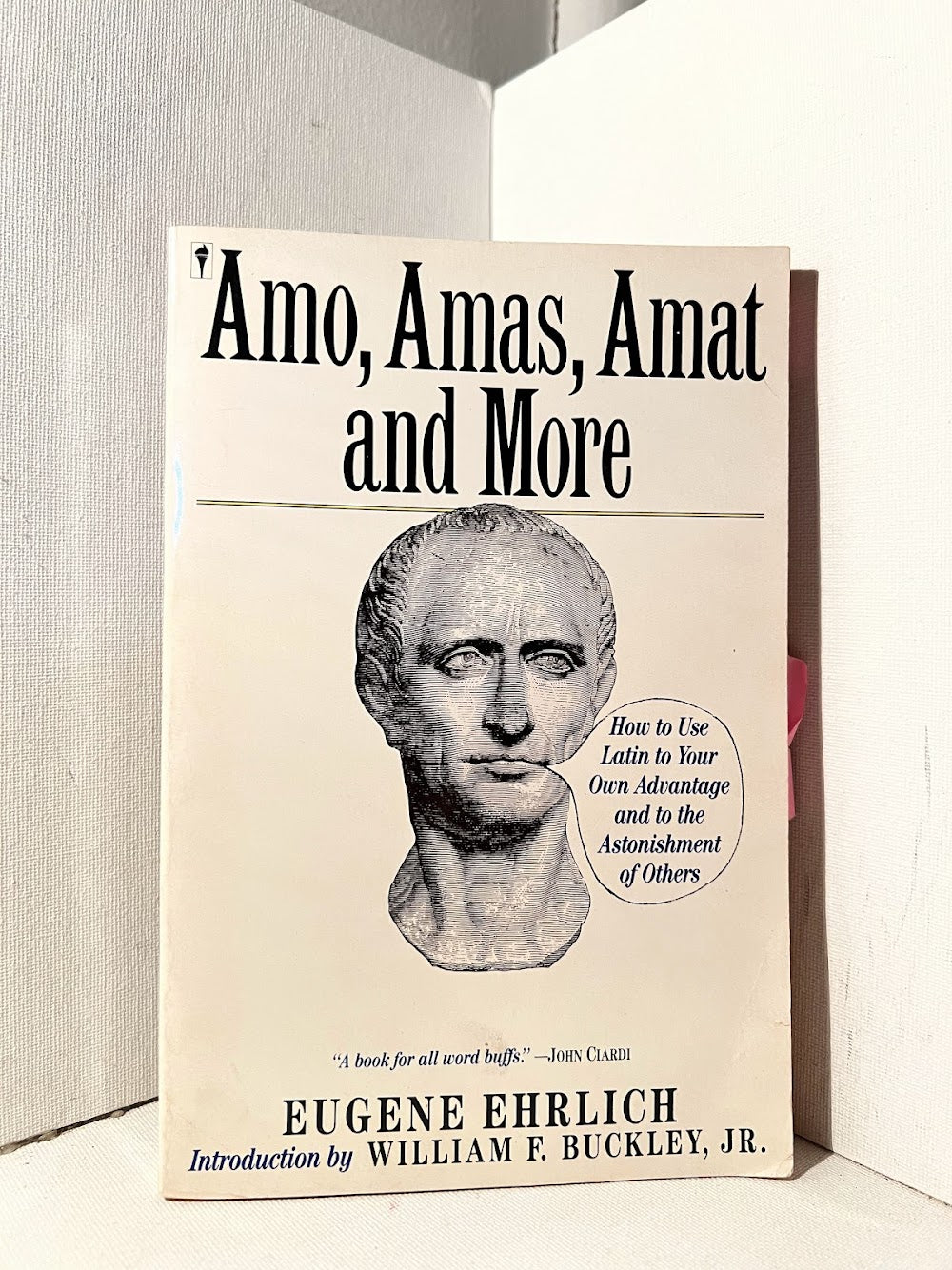 Amo, Amas, Amat and More by Eugene Ehrlich