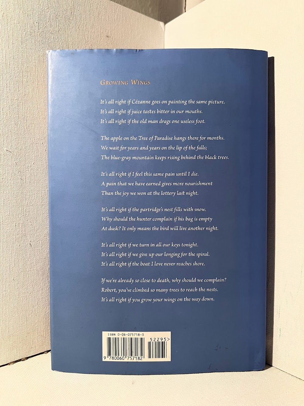 My Sentence was a Thousand Years of Joy by Robert Bly