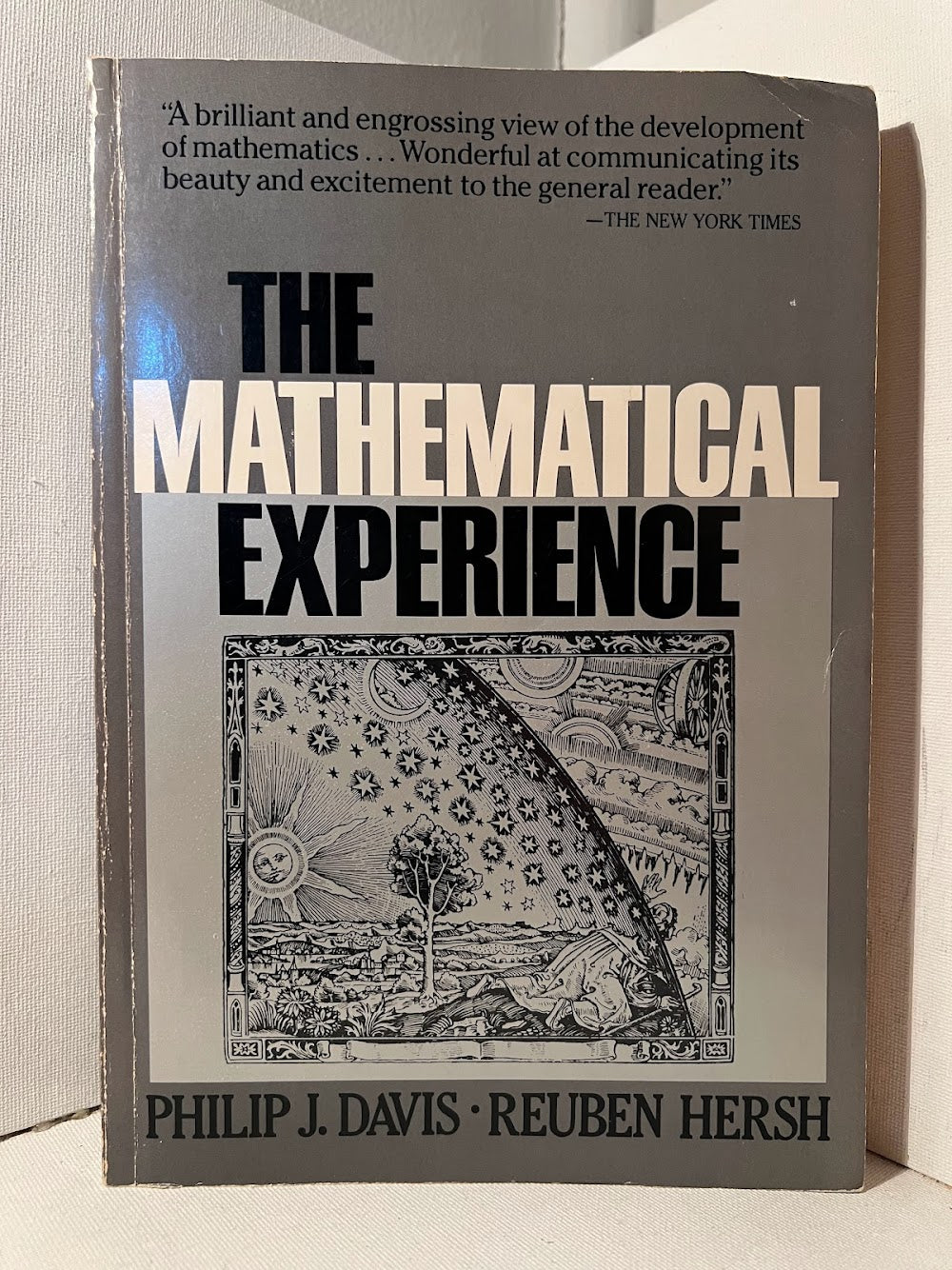 The Mathematical Experience by Philip J. Davis + Reuben Hersh