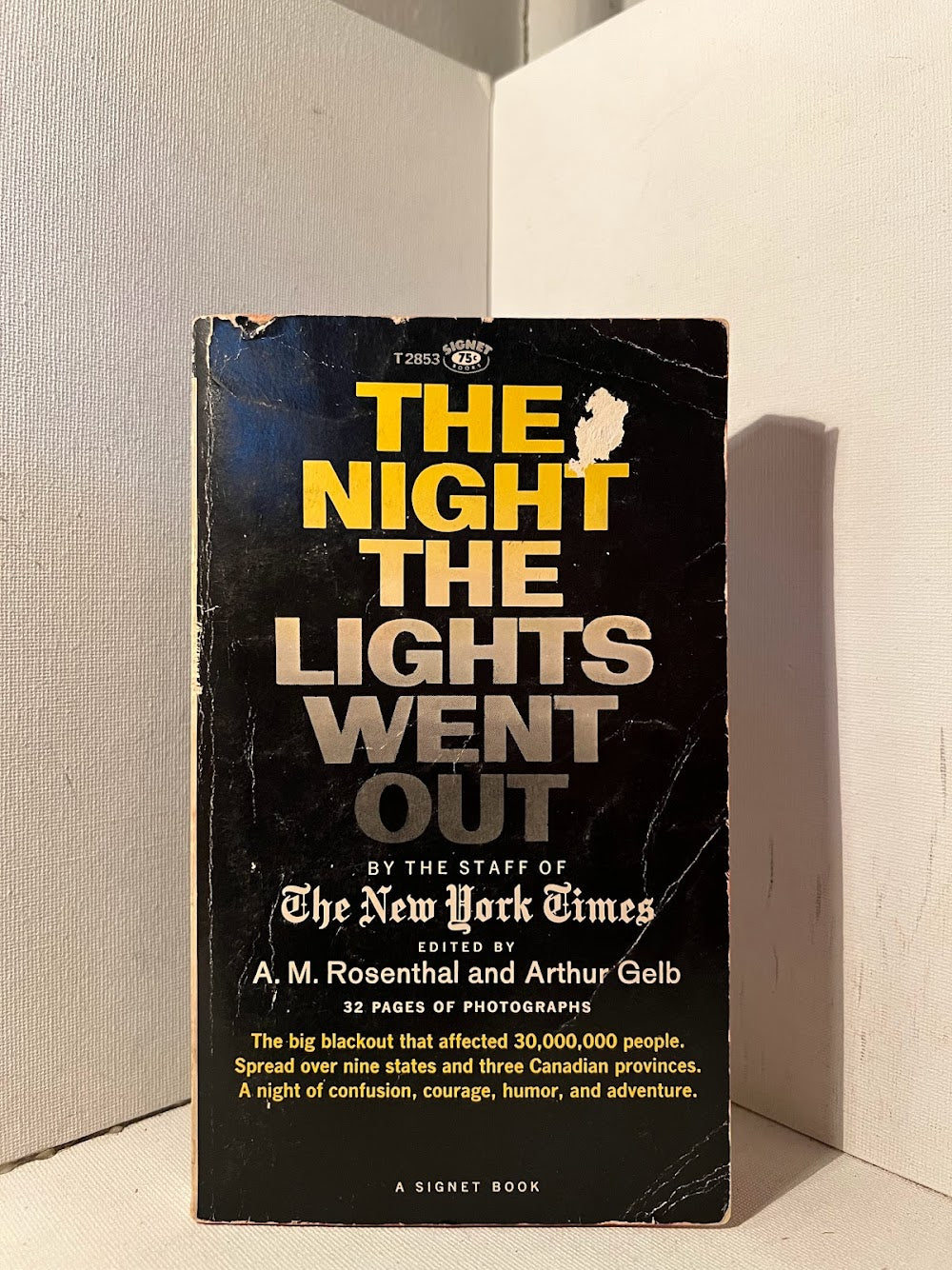 The Night the Lights Went Out by the Staff of The New York Times